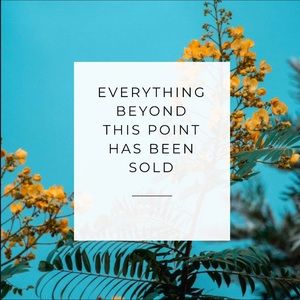 🥰 EVERYTHING BEYOND THIS POINT HAS BEEN SOLD 🥰